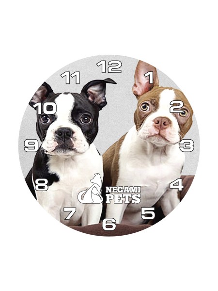 Reloj Deportivo Azul Rey Boston Terrier