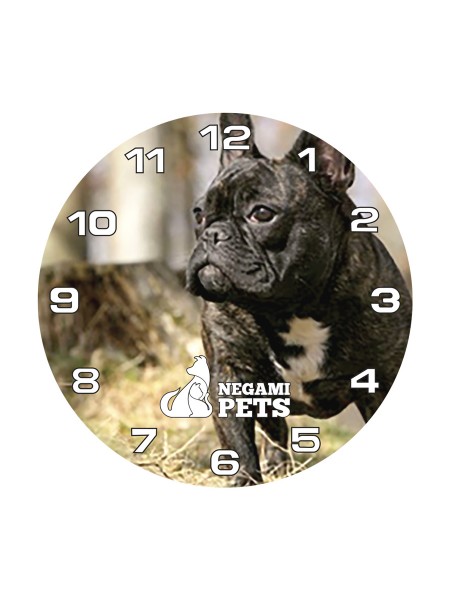 Reloj Deportivo Verde Bulldog Frances