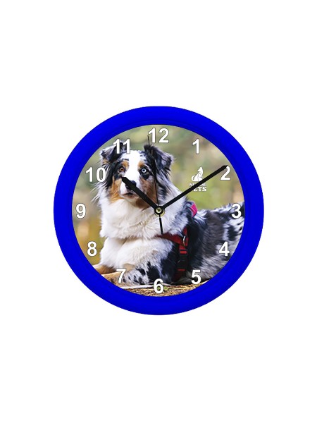 Reloj de Pared Azul Pastor Australiano