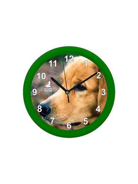 Reloj de Pared Verde Golden