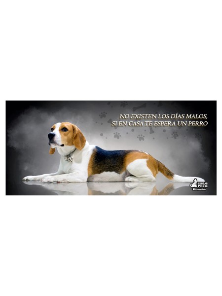 Taza Plata Beagle